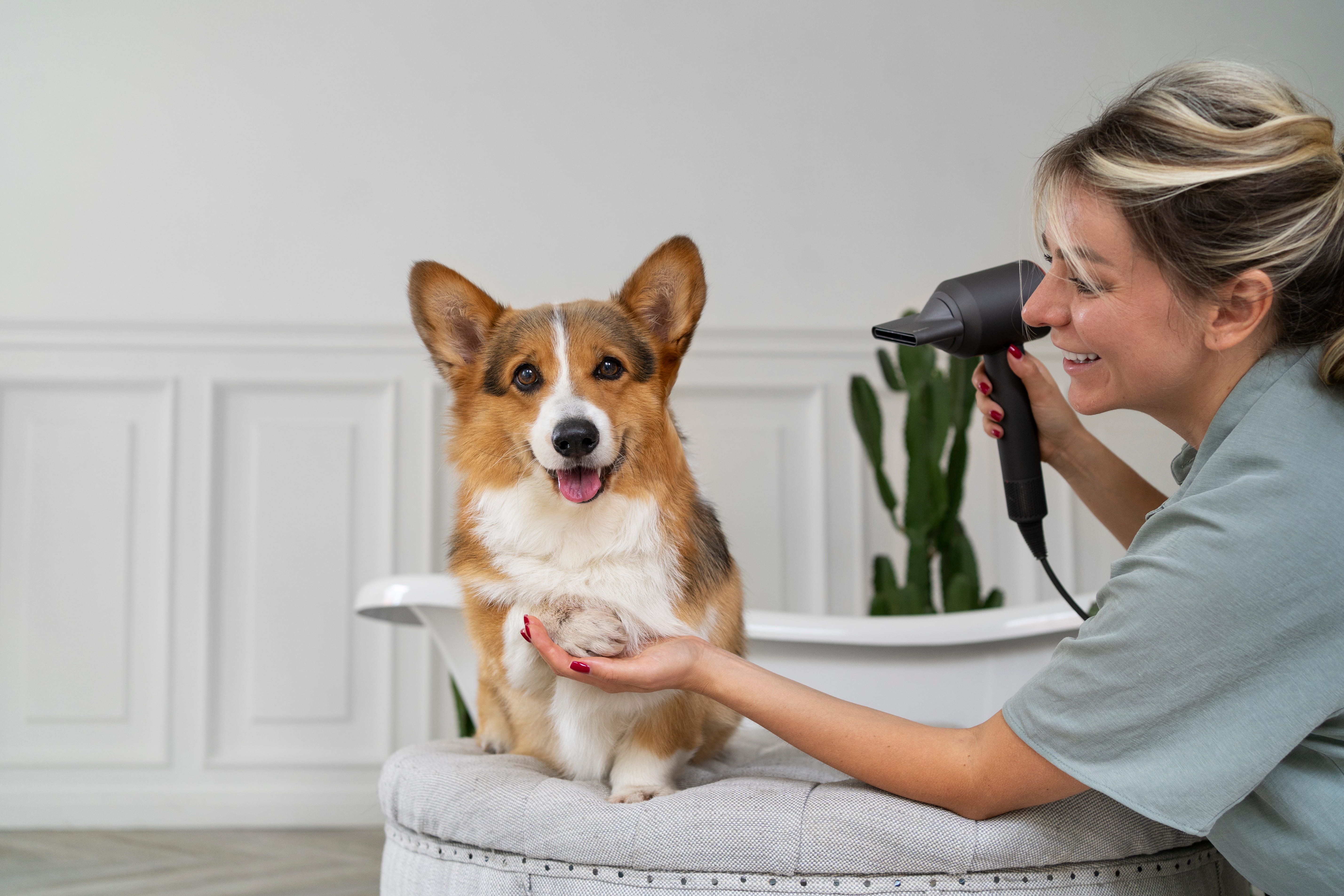 Luxury Pet Spa