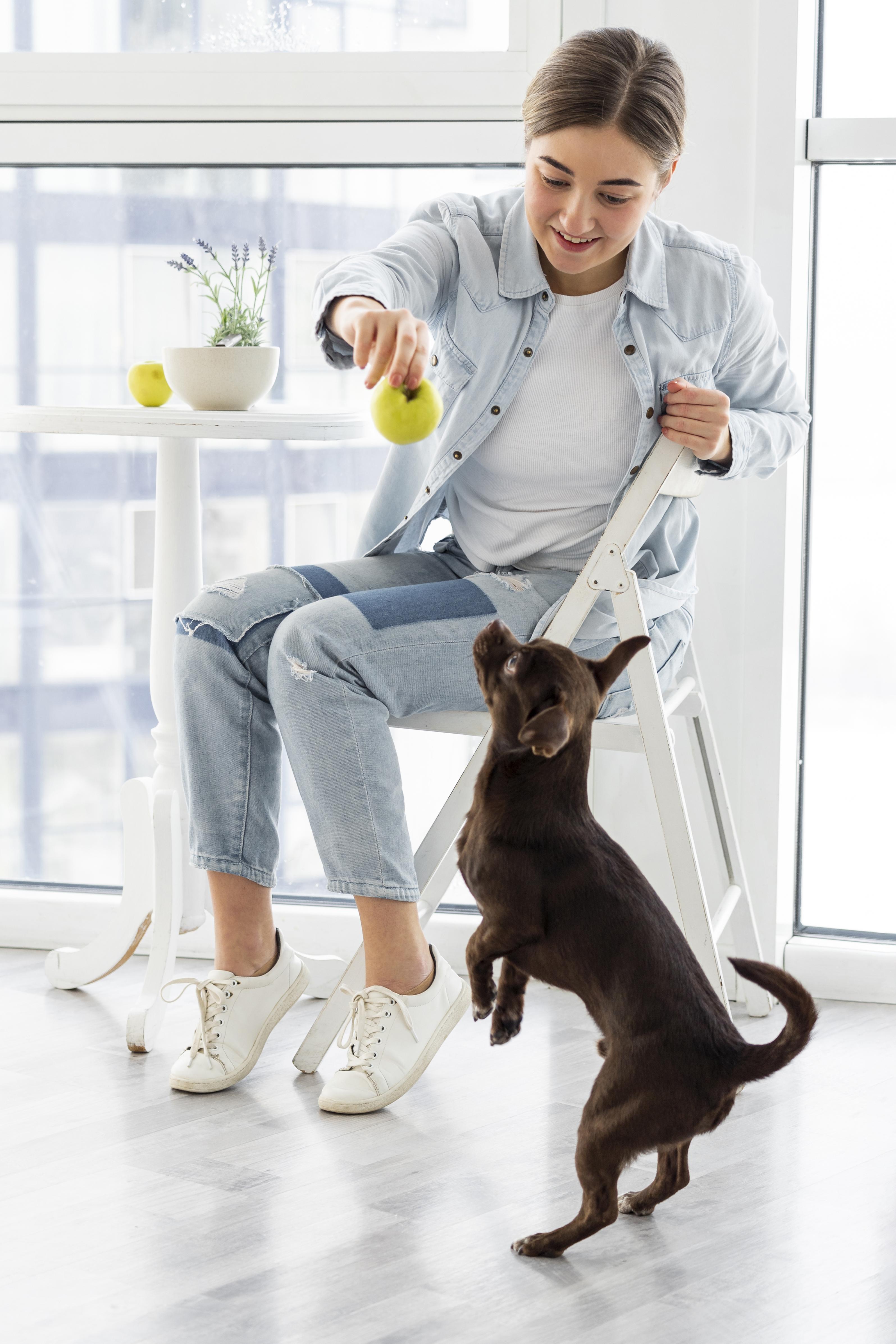 BestForPet